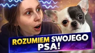 We understand our dog 🫢🐶