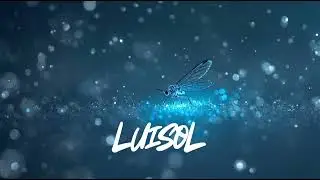 Dianna Ross- Upside Down (Never Dull edit)