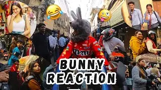 Bunny Helmet Crazy Reaction on r15 | Bunny Helmet on Yamaha R15 | r15 v4 new model #r15v4 #bunny