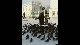 шуя