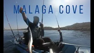 King Harbor to Malaga Cove- Bass, Barracuda and Gray Whales