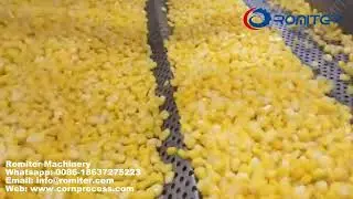Automatic Small Sweet Corn Kernel Production Line