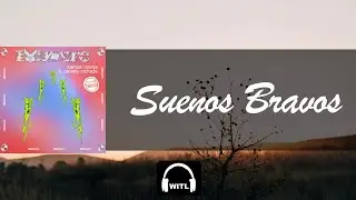Bodysync, Ryan Hemsworth, Giraffage - Suenos Bravos