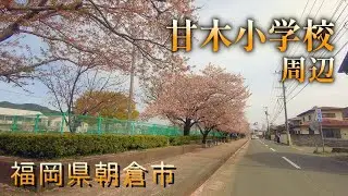 スクーターで甘木小学校周辺をクルーズ 福岡県朝倉市 220402C