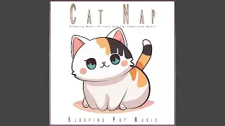Sweet Cat Napping Music