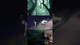 Полицейские инциденты. Часть 4