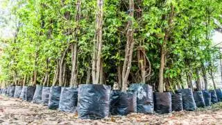 SHORT FILM ON PLASTIC BAN IN KARNATAKA