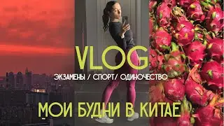 38 VLOG: Одинокие дни в Китае, спорт, экзамены и забота о себе