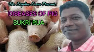 Diseases of Pig // Dr. Stephen Soren
