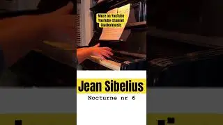 #sibelius #nocturne #ноктюрн #классика #finnland #piano #silent #красиваямузыка #subscribe #reels