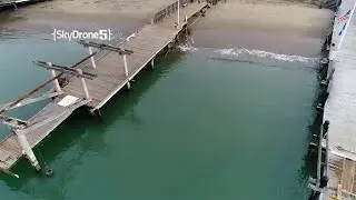 Aquatic Park Cove Closed to Swimmers After 2nd Sea Lion Attack