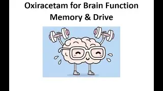 Oxiracetam Nootropic - The Focus Boosting Racetam