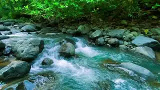 [10 HOURS] Calming River Sounds for Deep Sleep & Focus 🧘&zwj;♂️