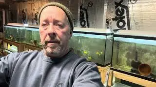 Greater Cincinnati aquarium society swap meet 