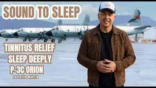 AIRPLANE PROP SOUND | P-3C ORION NOISE FOR DEEP SLEEP | FALL ASLEEP FAST, TINNITUS RELIEF🥱😴🎧