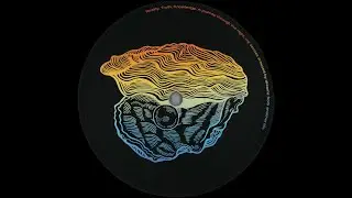 (A1) Erell Ranson &ndash; If We Never Try (DJ Normal 4 Sealife Safari MixX) - [OYSTER12] - 2018