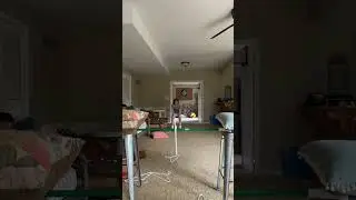 Hanger trick shot #trickshots  #crazyshots #shorts