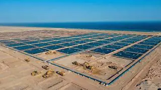 How Saudi Arabia Spent $120 Billion to Manufacture Water in the Desert