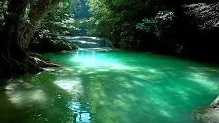 Peaceful river flowing. Turquoise river in dense rainforest. Nature sounds for sleep.
