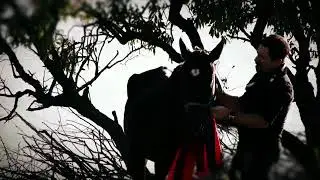 اغنية باميرد جان بوهاري Music Bamerd Jan buhare