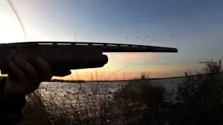 Sweet Lake Duck Hunt