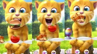  🧩😼 Ginger Figures Out a Small Clue 🪵🔍