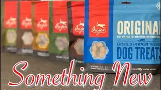 Orijen Dog treats review