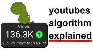 How to make the algorithm love you in 5 minutes