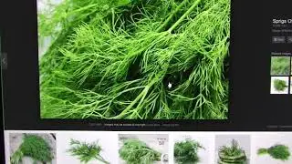 DETOX PROCESS ----- James Destroy Diseases Recomended DETOX FOODS