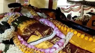 Kanchipuram Atthi Varadar 2019 once in 40 year for 48 days .