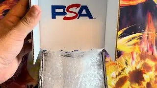 Insane PSA Pokemon card submission results