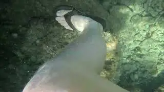 Snorkeling San Juan Puerto Rico final session