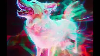 Quantum Animal Healing