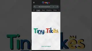 Who is the Best Famous Brand? | TINYTIKES.PK