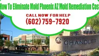 How To Eliminate Mold Phoenix AZ Mold Remediation (602) 759-7920