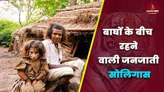 बाघों के बीच रहने वाली जनजाती-&nbsp;सोलिगास | Tribal Khabar #tribalnews