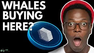 Whales Are Buying REN Crypto Here? REN Coin Price Analysis