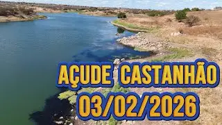 A&ccedil;ude Castanh&atilde;o Dados Atualizados hoje 03/02/2026 Cear&aacute;