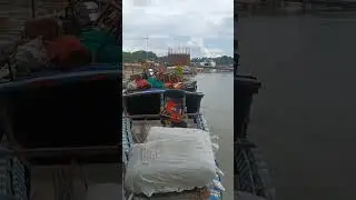 BSF water wing#youtubeshort video