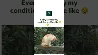#relatablememes #relatableoffice #relatablepost #workmodeon #middaymeme