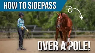 Teach Your Horse to Side Pass Over a Pole (Step-by-Step!)