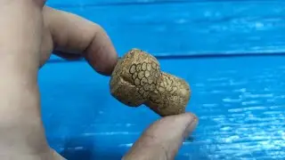 Secret of the champagne cork!!! Genius idea!