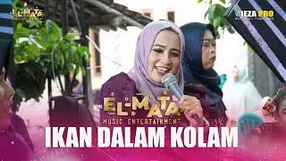 IKAN DALAM KOLAM | MILADIA NUR | QOSIDAH GAMBUS 