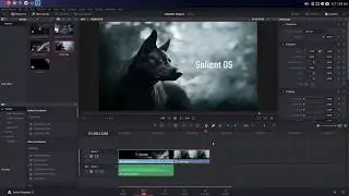 GNU/Linux Tech Tips - Video Editing with Davinci Resolve