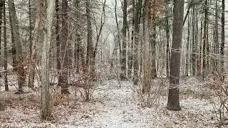 Without You (Christmas Wouldn&rsquo;t Be Christmas) composed and performed by Jamie Barrett