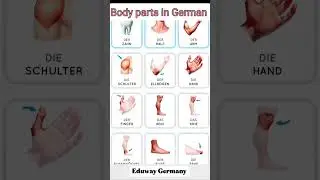 Body part  name in German 🇩🇪 #anomals #shorts #eduwaygermany
