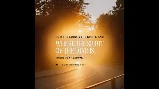 Walk In Freedom