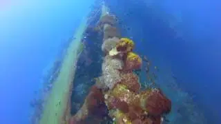 Diving in Australia