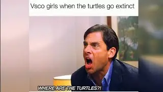 Memes Images Compilation - 33 Funny VSCO Girl Memes Ever 2020 🤣😂 Clean Meme Compilation Video