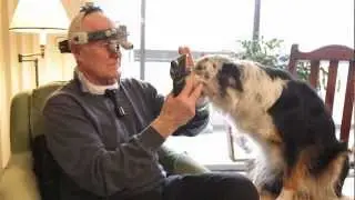 Dr. Richard Calland Vancouver Veterinary Consulting Service